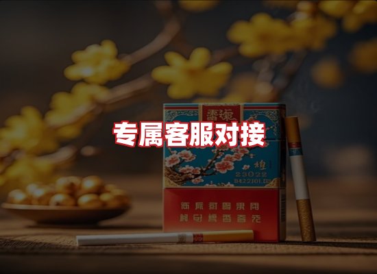专业团队